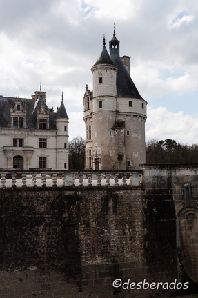 2009-03-24 27 Chenonceau