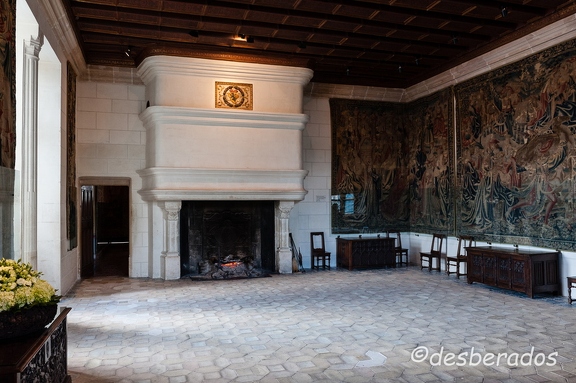 2009-03-24 40 Chenonceau