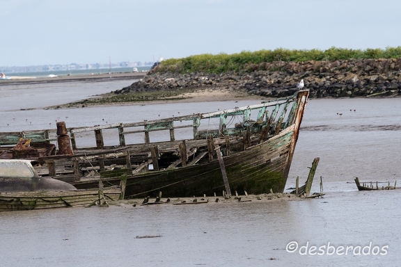 2016-04-27-530noirmoutier