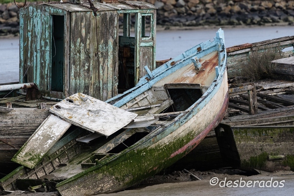 2016-04-27-532noirmoutier