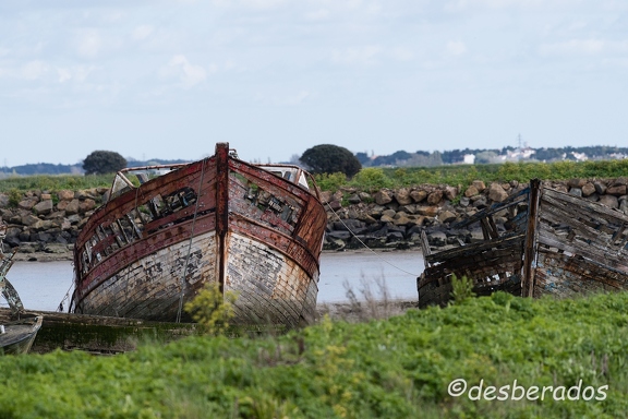 2016-04-27-542noirmoutier