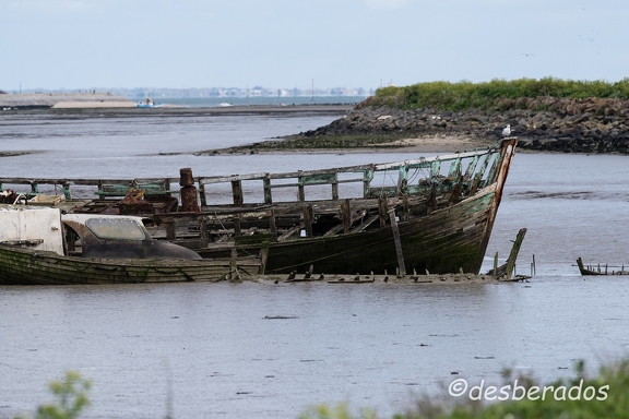 2016-04-27-543noirmoutier