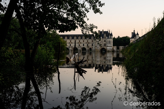 2021-07-17-7chenonceauZ7