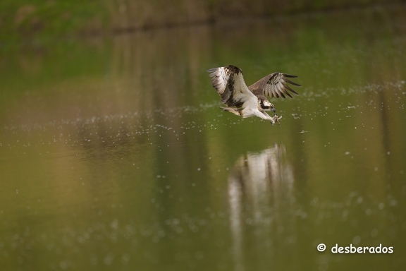 2024-04-25-1708loiretZ9