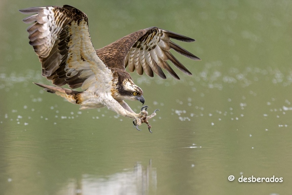 2024-04-25-1708loiretZ9 DxO-Modifier