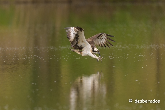 2024-04-25-1708loiretZ9 DxO